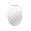 Gatco Beveled Easy Mount Mirror, 26.5" H X 19.5" W, Silver -Moen Shop 31c1kRPOcTL