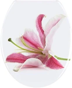 WENKO Toilet Seat Orchid-rustproof Stainless Steel Mounting, 37.5 X 44.5 X 10 Cm, Multicolor -Moen Shop 31oQoVdFqLL. AC