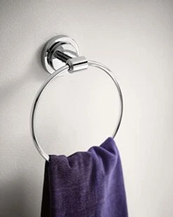 Moen DN0786CH Iso Bathroom Hand -Towel Ring, Chrome -Moen Shop 419xcIaB36L